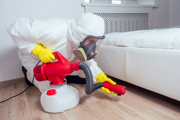 Best Bed Bug Extermination  in East Islip, NY