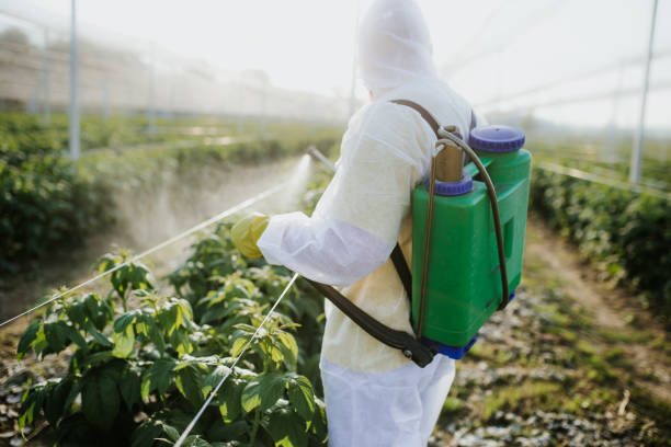 Best Pest Prevention Services  in East Islip, NY